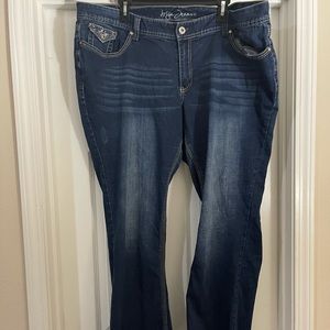 Ariya Jeans, flare leg, 22W
